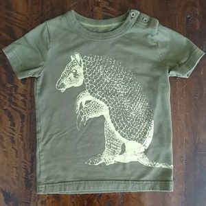 Boys Tee Shirt